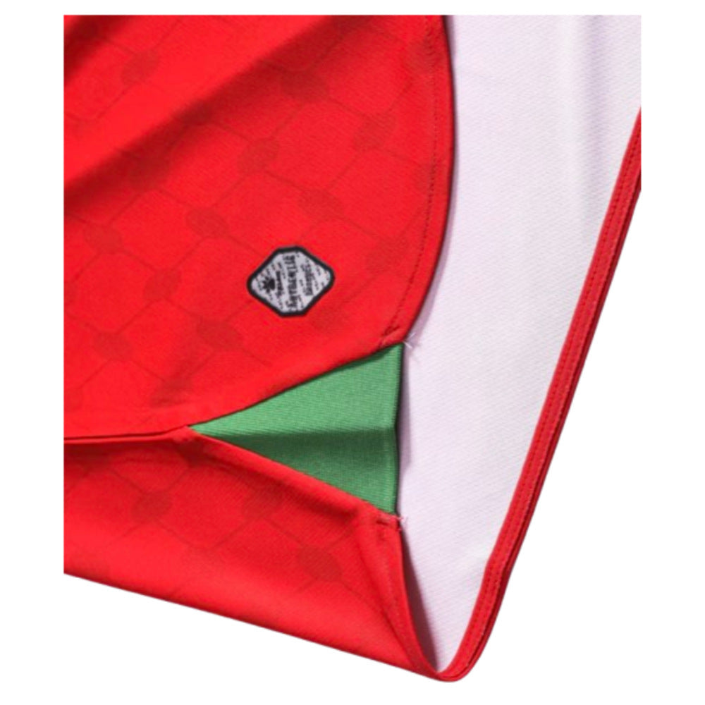 2024-2025 Palestine Home Shirt_3